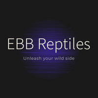EBB Reptiles